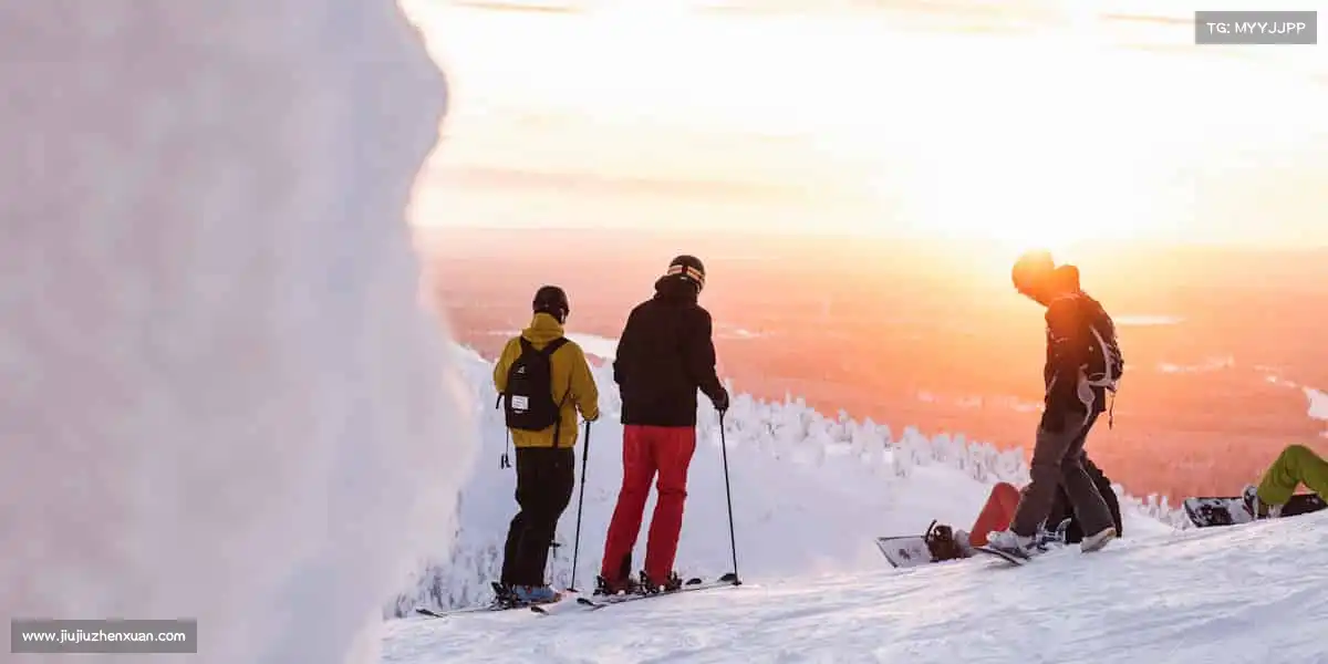 行业领先的理由